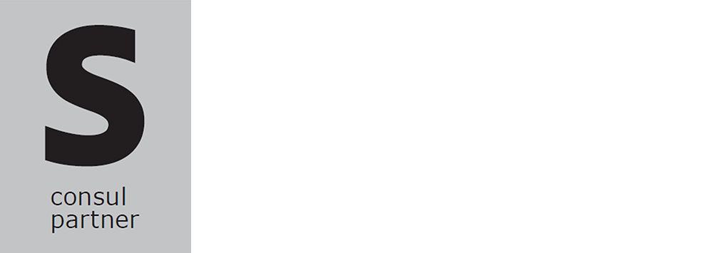 Sコンサル・パートナー